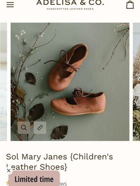 Adelisa & Co. Kids' Mary Jane Leather Shoes - Brown